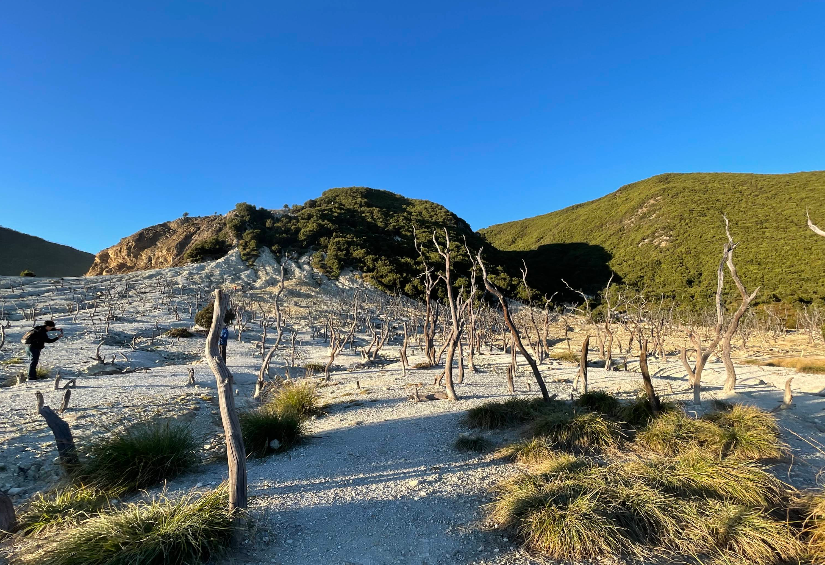 5 Rute Pendakian Gunung di Jawa Barat yang Cocok untuk Pemula