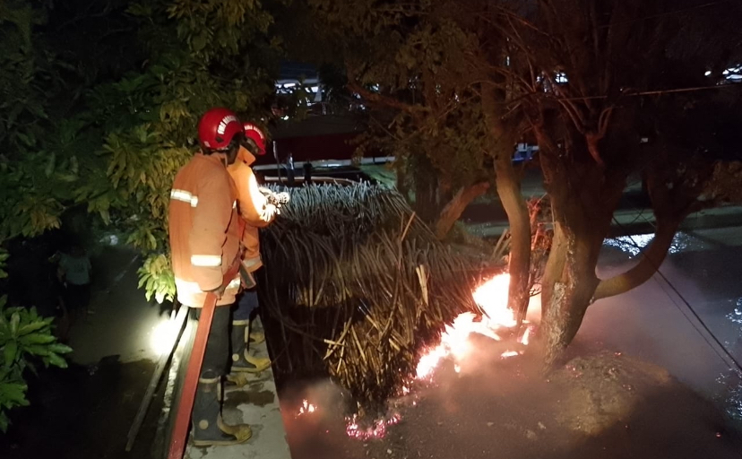 Sisa Bakaran Sampah, Diduga Picu Kebakaran Lahan di Dekat Tanggul Kali Pemali Brebes