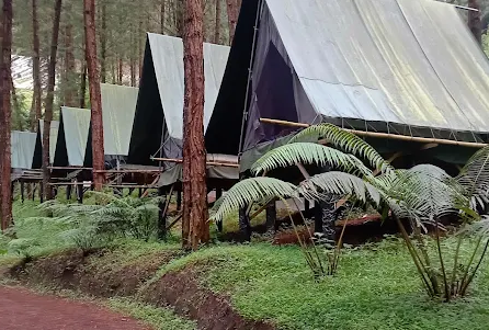 Daftar Glamping Murah di Tegal 2025 dengan View Gunung Slamet, Mulai Rp200 Ribuan!