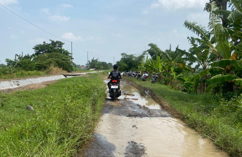 Jalan Pertanian Luwungbata-Tanjung Brebes Rusak Parah, Warga Sambat Bupati