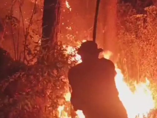 Kawasan Hutan Sirampog Brebes Terbakar, Begini Kronologi Kejadiannya Versi Warga Sekitar TKP