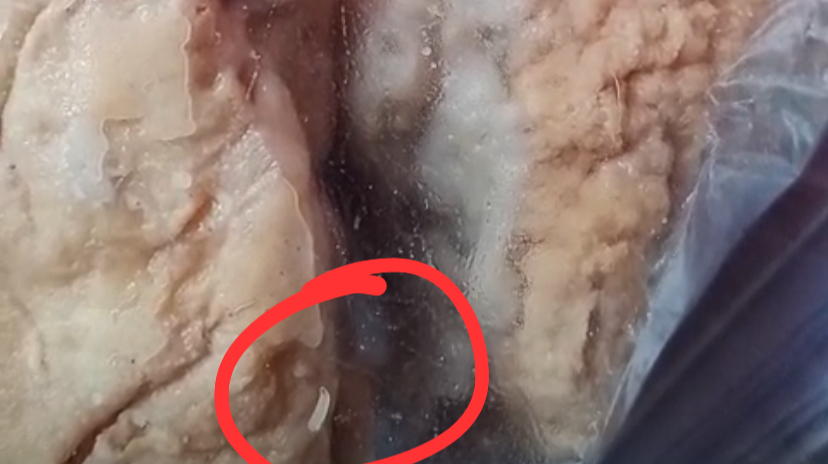 Viral! Wali Murid Temukan Belatung dalam Menu MBG di Brebes