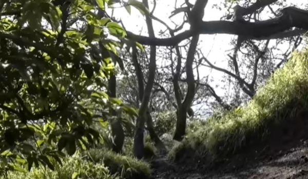 Bikin Merinding! Ini 4 Mitos Gunung Slamet Via Guci yang Katanya Bisa Belah Pulau Jawa, Benarkah?