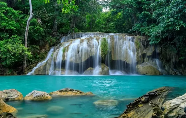 Deretan Wisata Alam di Bogor yang Sejuk dan Asri yang Tiketnya Murah!