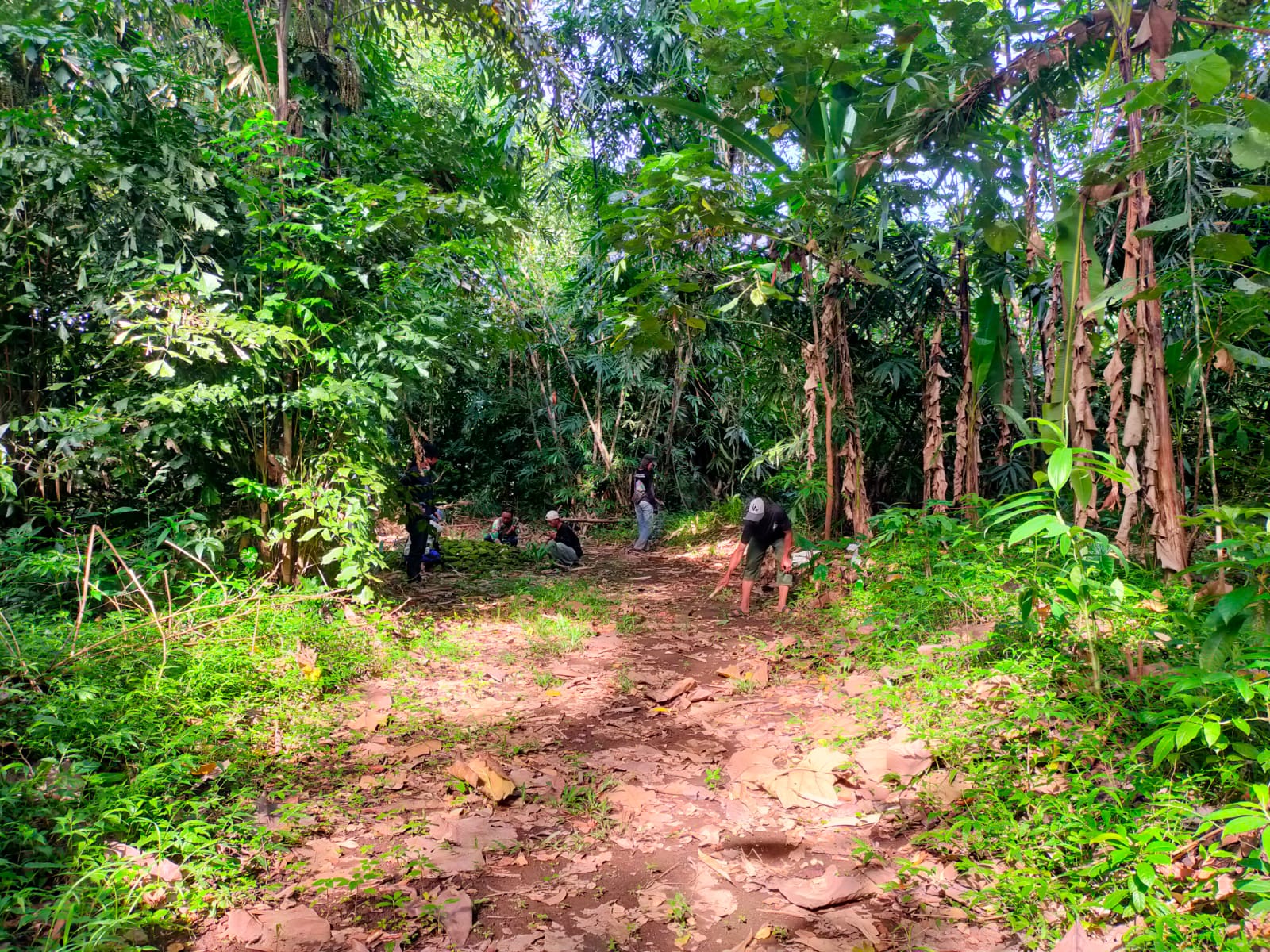 Desa Kalisalak 'Mutiara' Tersebunyi yang Terhimpit Dua Bukit di Tegal, Simpan Sejumlah Peninggalan Bersejarah