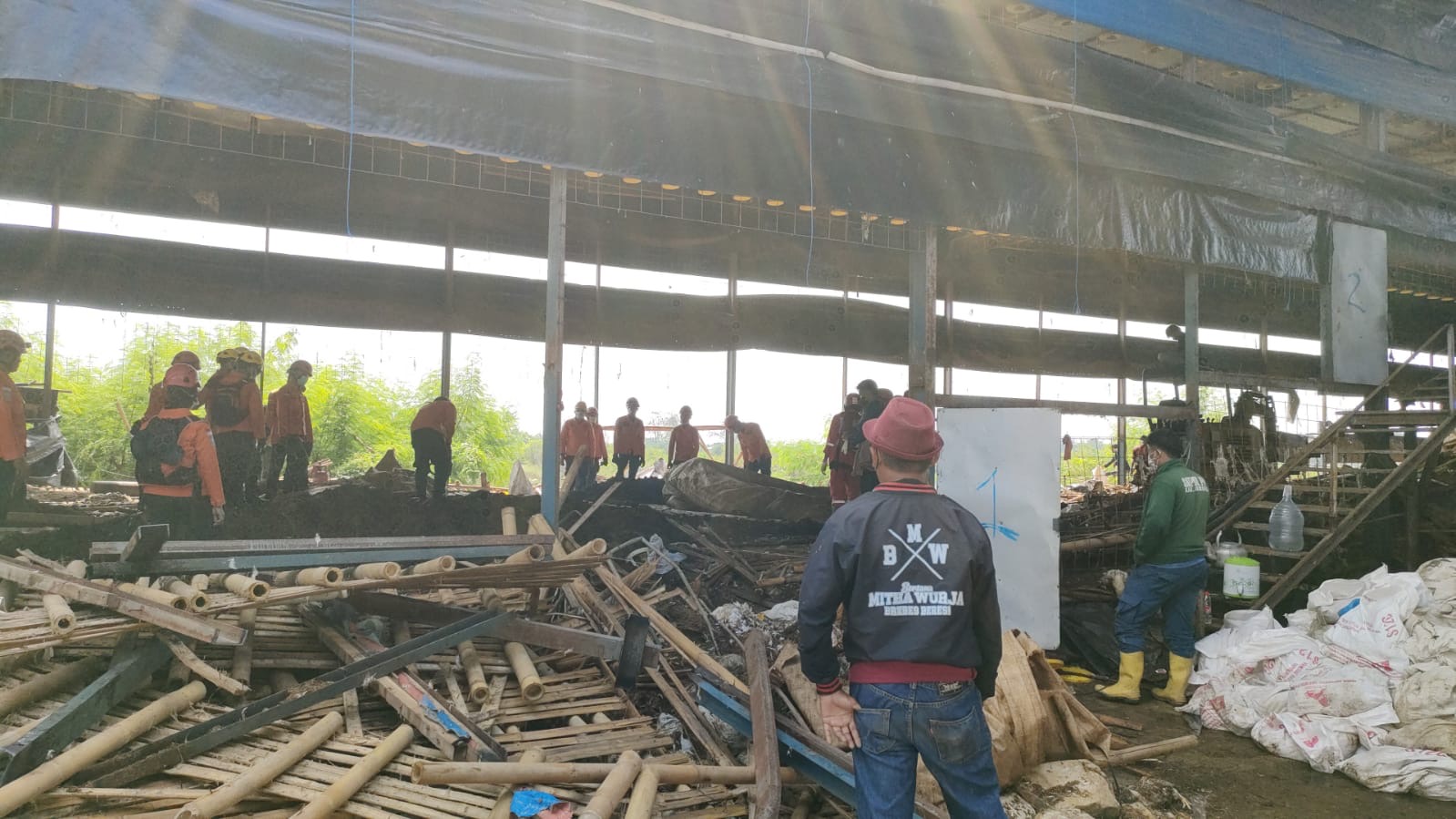 Gas Amoniak Hambat Pencarian Pekerja Tertimbun Kandang Ayam di Brebes