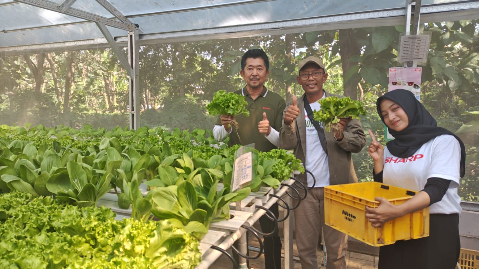 Siapkan 2 Inisiatif Unggulan, Sharp Cetak Generasi Emas sebagai Wirausaha Pertanian  