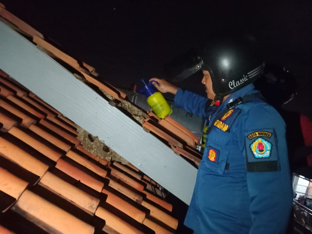 Membahayakan, Tim Damkar Evakuasi Sarang Tawon Vespa dari Atap Rumah Warga di Brebes
