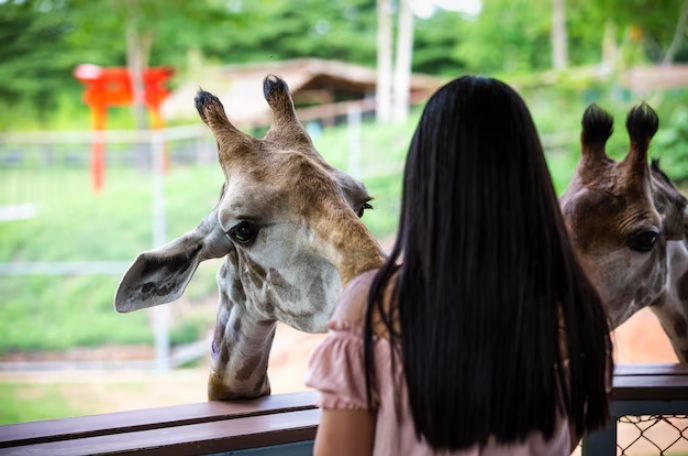 4 Destinasi Wisata Edukatif Hits di Surakarta dan Sekitarnya