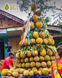 Kampung Unik Desa Ngropoh  Temanggung,  Warga Hidup  Makmur Sejahtera, Hasilkan 125  Ton Durian  Setiap Tahun