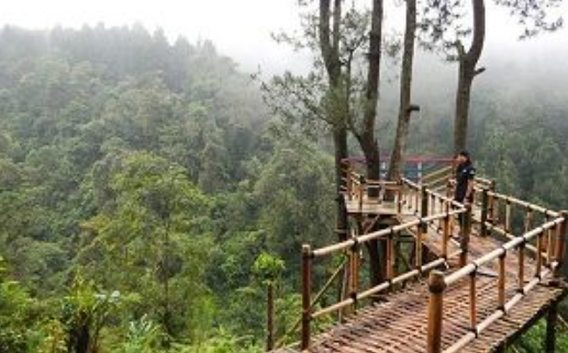 Ini 6 Tempat Wisata Hits di Batang yang Tak Boleh Dilewatkan