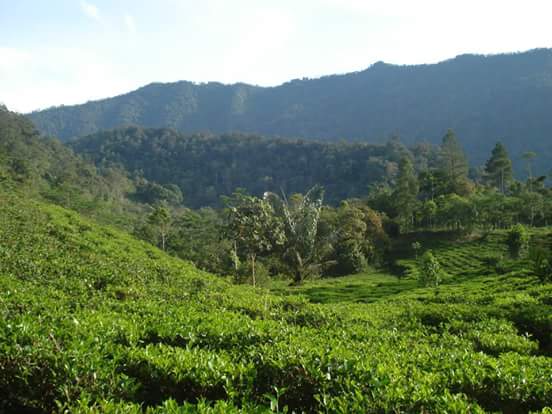 Eksplorasi Misteri dan Legenda Gunung Cakrabuana dari Perspektif Mistis dan Sejarahnya