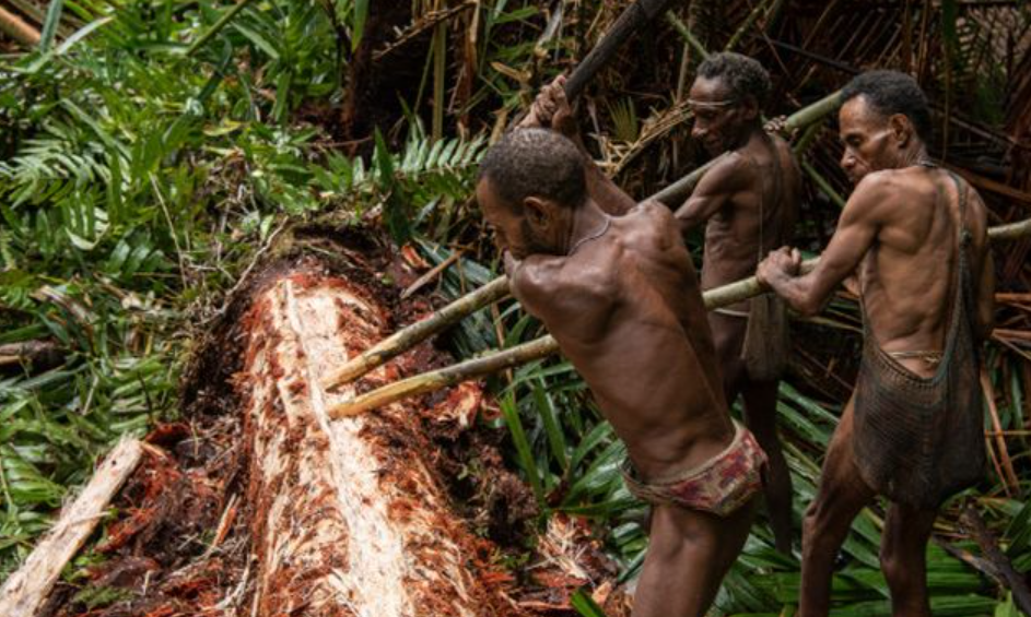 5 Keunikan Suku Korowai dari Papua yang Terpandang Dunia, Punya Tradisi Ritual Kehidupan
