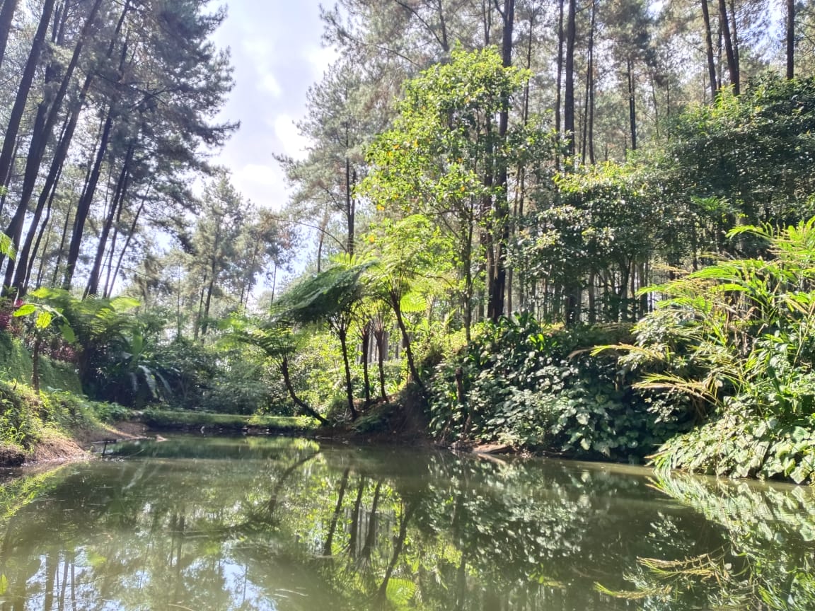 Spot Liburan Hemat Budget di Tegal yang Asyik untuk Dikunjungi