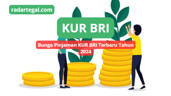 Bunga Pinjaman KUR BRI Tahun 2024 Besarannya Sangat Kecil, Cocok untuk Para Pelaku Usaha