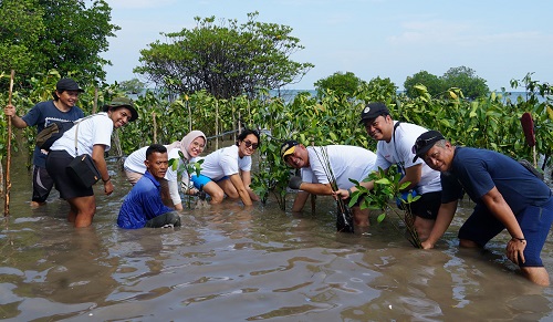 Peringati Hari Lingkungan Hidup Sedunia, Sharp Tanam 5.500 Pohon Mangrove dan Pulihkan Terumbu Karang