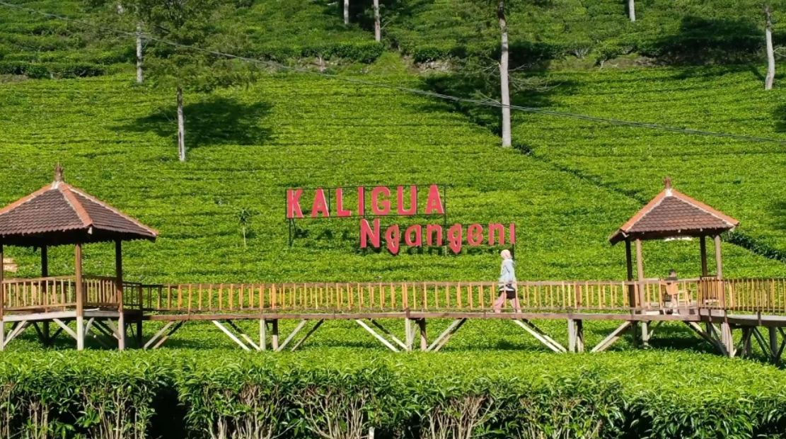 4 Wisata Murah di Tegal dengan Pemandangan Alam yang Memukau