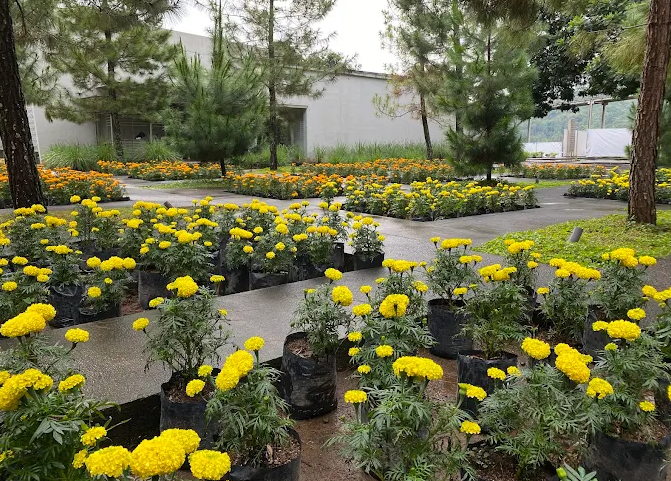 10 Rekomendasi Wisata Keluarga Murah di Jawa Tengah, Seru dan Edukatif