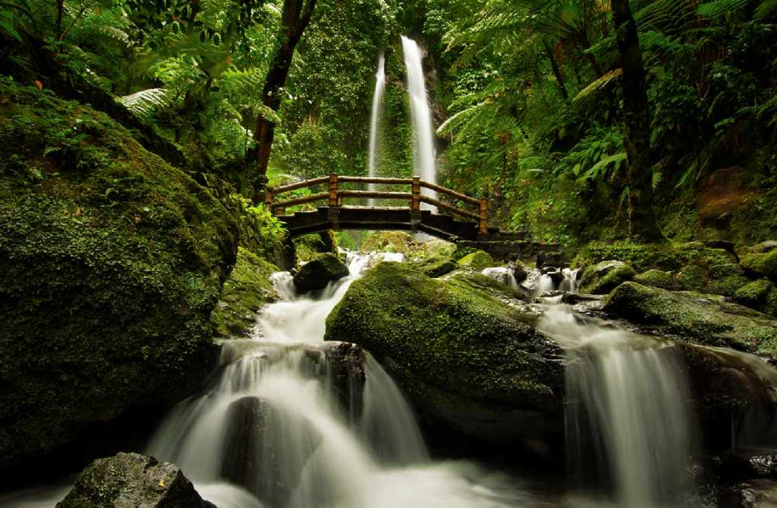 5 Mitos Air Terjun Jumog yang Bersumber dari Media Terkenal