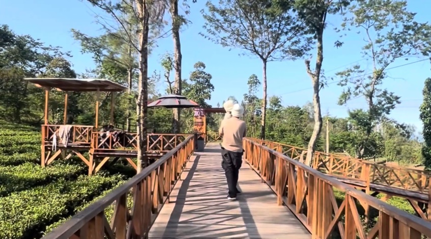 6 Wisata Keluarga Murah dan Seru di Wonosobo yang Penuh Kenangan