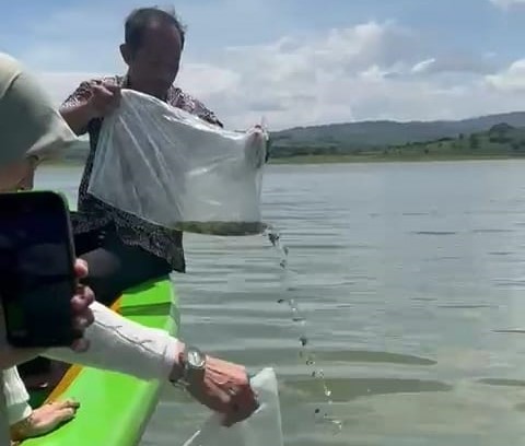 Jaga Ekosistem, 2.500 Benih Ikan Nila Ditebar di Waduk Cacaban Kabupaten Tegal