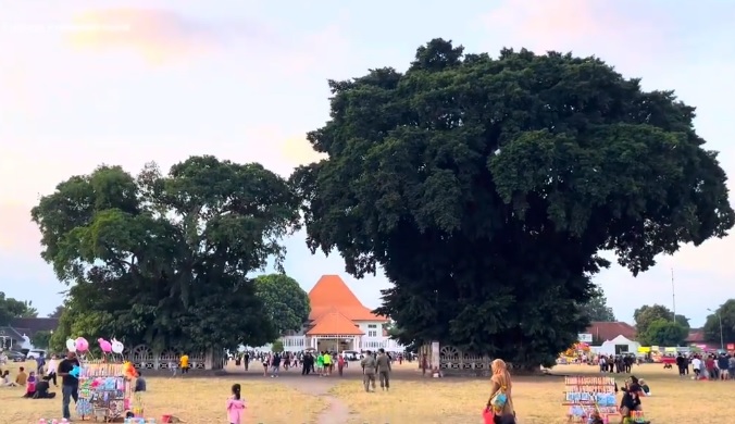 Mitos Beringin Kembar di Alun-alun Kidul Yogyakarta yang Terkenal Turun Temurun