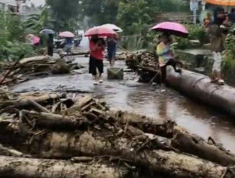 Hujan Deras Picu Banjir Bandang dan Pohon Tumbang di Pemalang