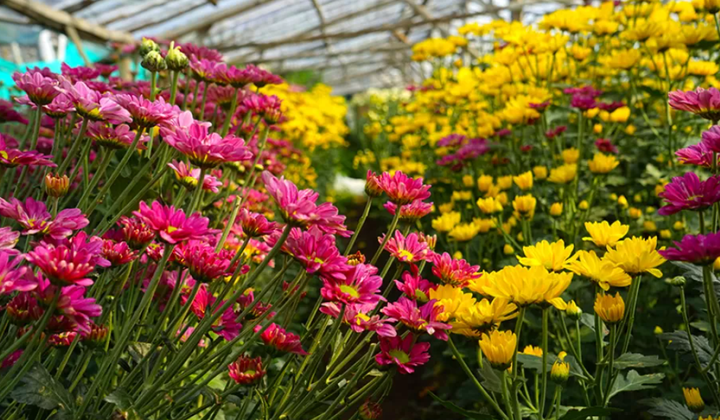 10 Wisata Viral di Semarang yang Punya Pemandangan Memukau dan Ramah untuk Keluarga