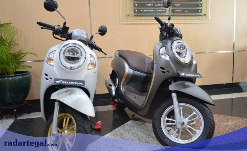 9 Tips Perawatan Harian Motor Honda Scoopy Agar Awet Dipakai sampai 10 Tahun