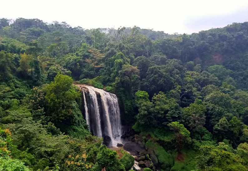 Wisata Alam Curug Sewu Kendal, Spot Tersembunyi dengan View Spektakuler