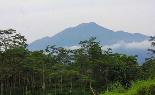 Misteri Gunung Slamet di Ramalan Jayabaya, Letusannya Bisa Membuat Pulau Terbelah Dua