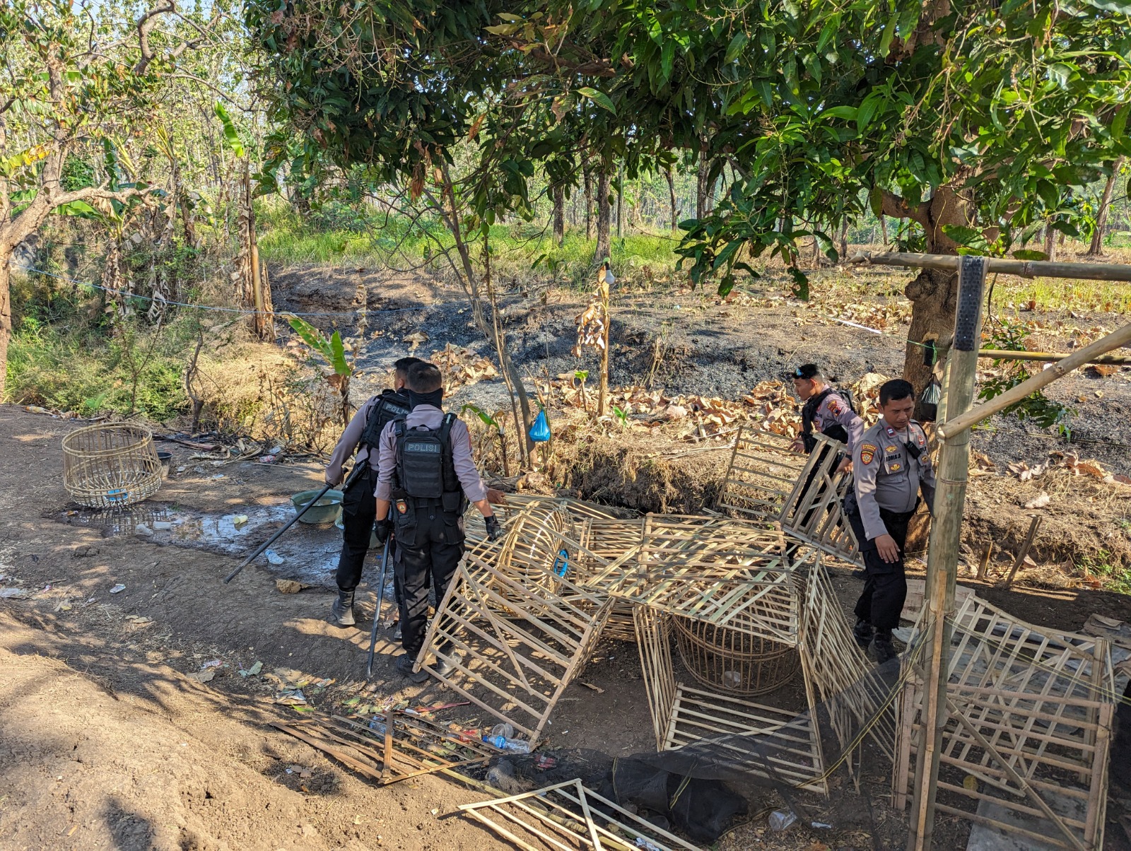 Berantas Praktik Judi Sabung Ayam di Kabupaten Tegal, Polres Intensifkan Patroli Gabungan