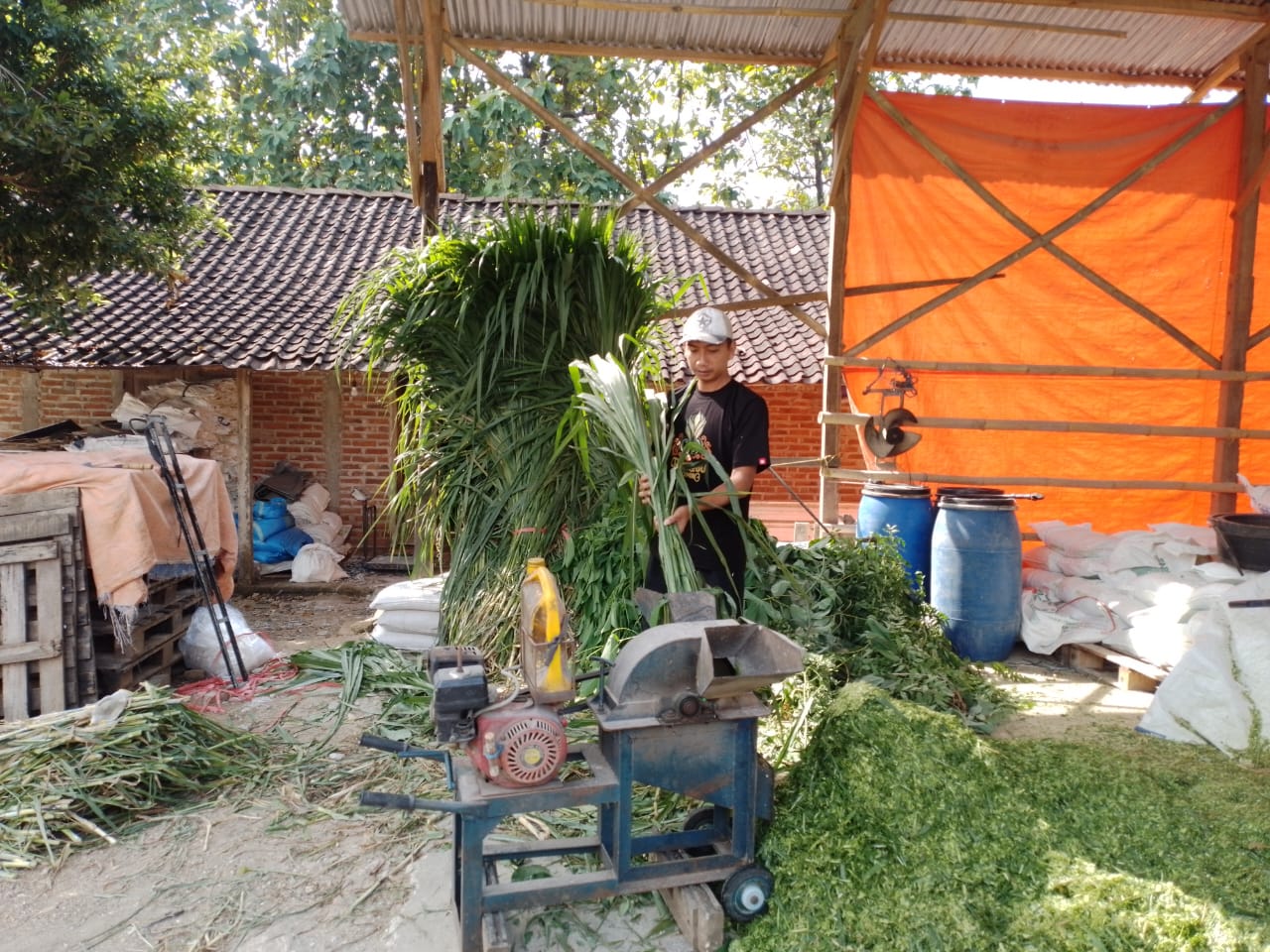 KUR BRI Bisa Bikin Usaha Berkembang, Pengusaha Pakan Ternak Asal Ponorogo Sudah Membuktikannya