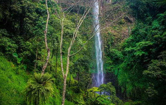 Curug Kalipancur Semarang, Air Terjun Cantik dengan Pesona 100 Meter di Lereng Telomoyo