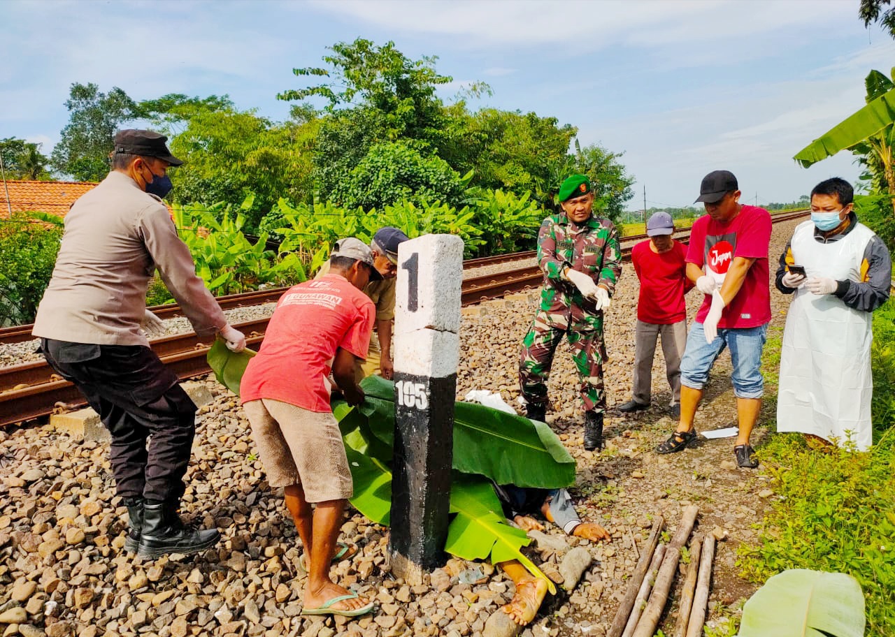 'Dicium' KA Argo Sindoro saat Sedang Berjemur, Lansia di Pemalang Meregang Nyawa