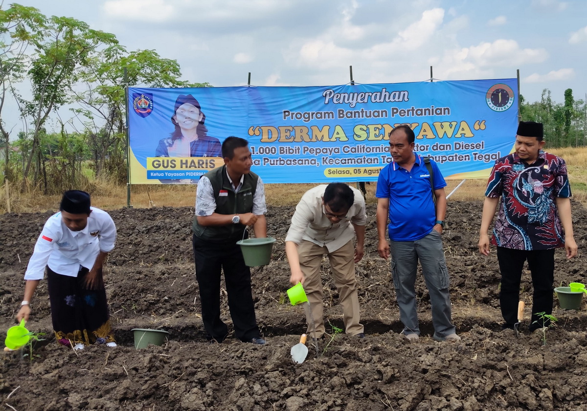 Petani Purbasana Tegal Dapat Bantuan 2 Traktor, Bibit Pepaya dan Pompa Air Diesel