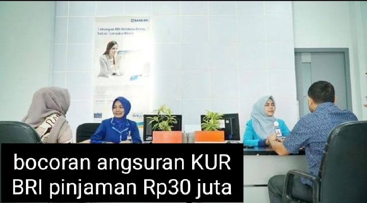 Tabel Angsuran KUR BRI 2024 Pinjaman Rp30 Juta, Cicilan Per Hari Setara dengan Rp21 Ribuan