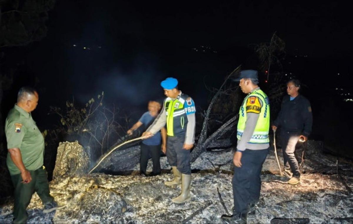 Hutan Pinus Perhutani Kebumen Kebakaran: Api Padam 2 Jam, Setengah Hektare Area Hangus