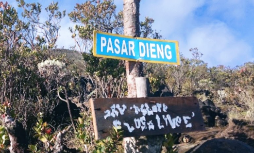 Kisah Horor di Pasar Gunung Lawu, Masuk ke Pasar Setan hingga Ditawari Tinggal dengan Makhluk Dunia Lain