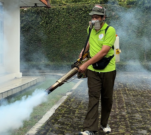 Waspada DBD! Berikut Tips Lindungi Buah Hati