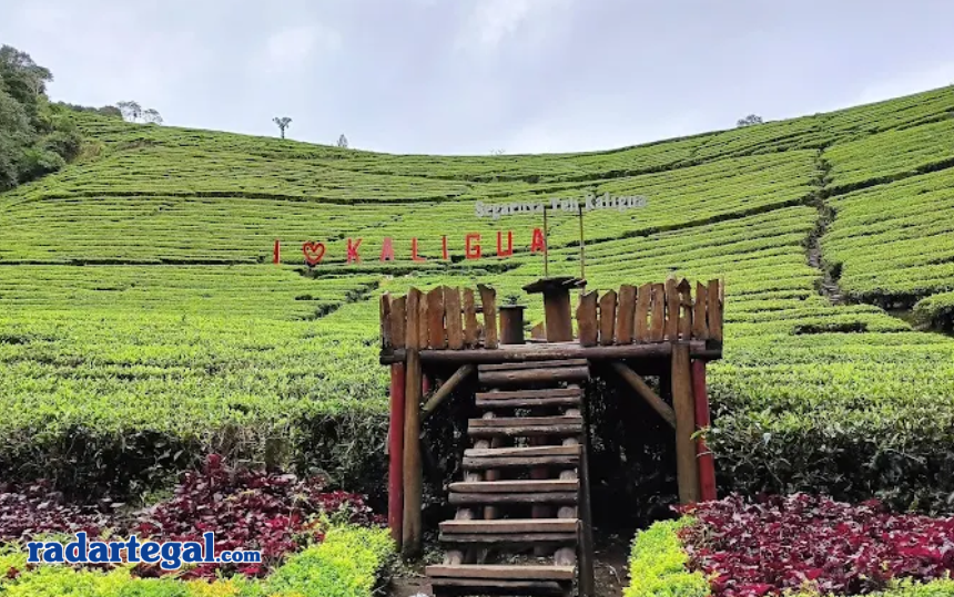 10 Destinasi Wisata Populer di Brebes, dari Pegunungan hingga Pesisir