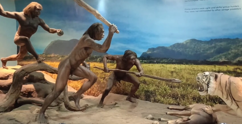 3 Museum Arkeologi di Jawa Tengah, Lengkap dan Unik