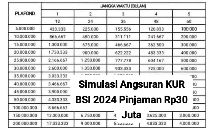 Cocok untuk Modal Usaha, Ini Simulasi Angsuran KUR BSI 2024 Pinjaman Rp20 Juta dengan Cicilan Mulai 300 Ribuan