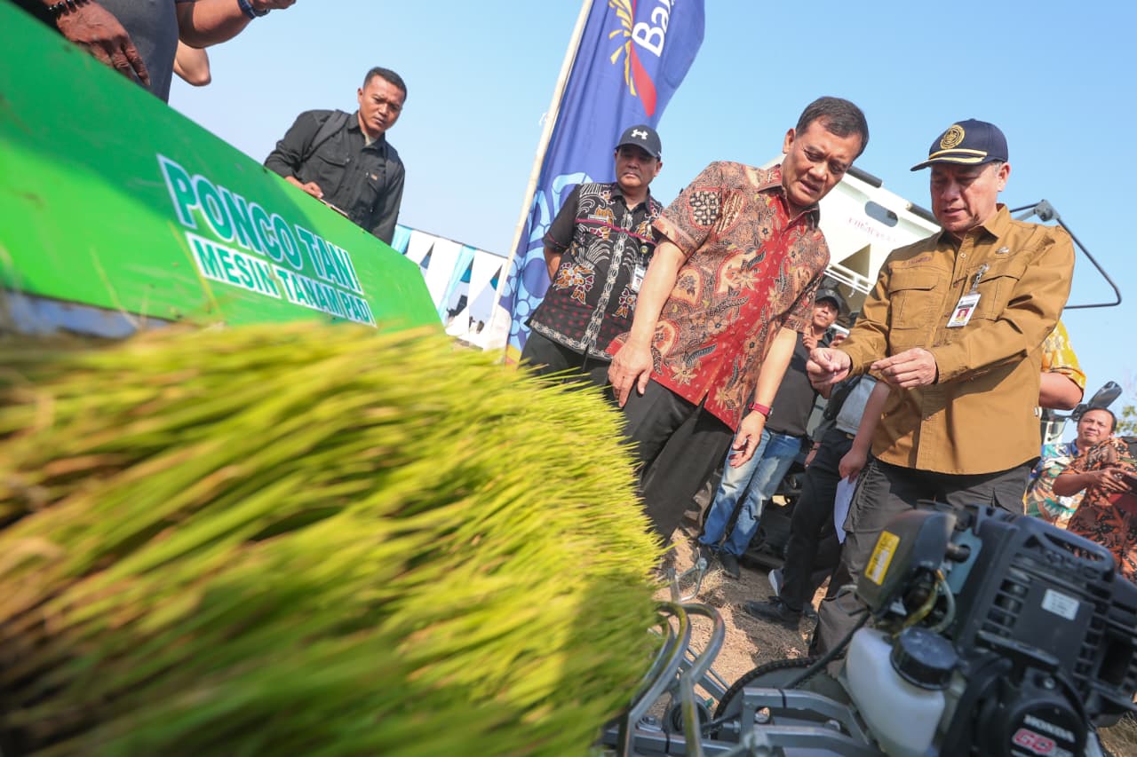 Produksi Padi Jateng Capai 6,69 Juta Ton, Gubernur Optimistis Target Tercapai 
