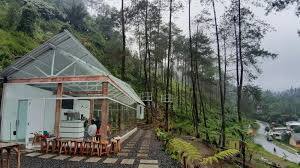 Eksplorasi Cafe Terbaru 2024 di Tegal dengan View Alam, Instagramable Abis Bikin Nongkrong Makin Berkesan