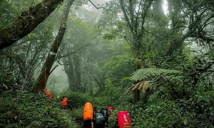 Bikin Merinding! Ketahui 5 Misteri Gunung Slamet, Ada Apa dengan Pos Samarantau?