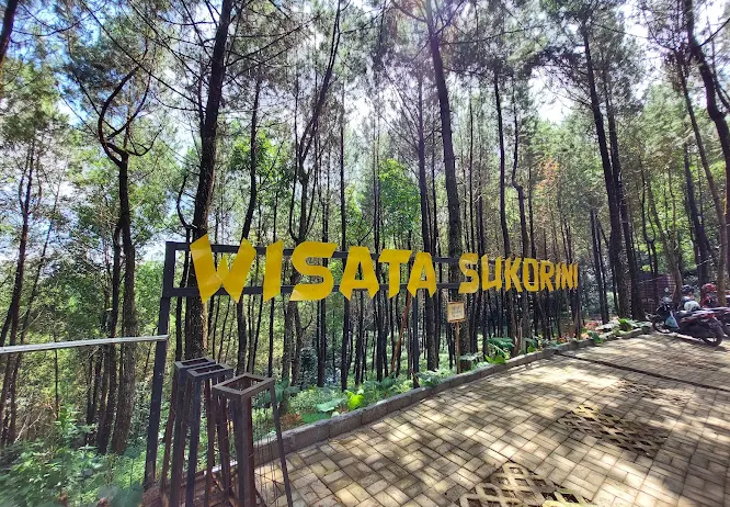 Pesona Wisata Alam Semarang, 20 Tempat Favorit Wisatawan Lokal yang Bisa Anda Kunjungi