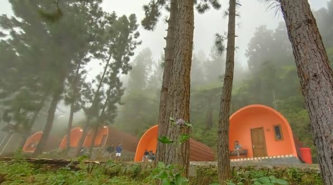 Glamping Alam Bernuansa Hotel Bintang 3, Fasilitas Indoor dan Outdoor yang Membuat Nyaman dengan Harga Murah