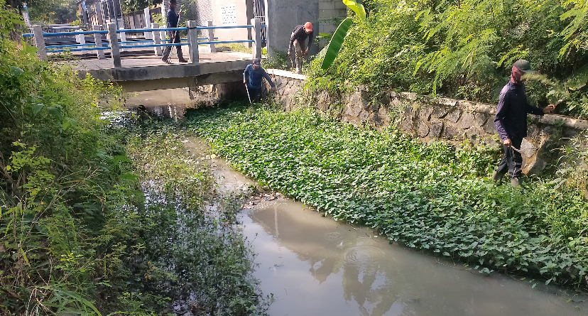 Cegah Banjir di Brebes, DPU Normalisasi Saluran Drainase 