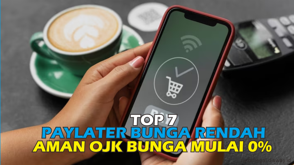 Top 7 PayLater Bunga Rendah Sudah Terdaftar di OJK, Bunga Mulai dari 0% & Syarat Mudah Dowload Sekarang Juga